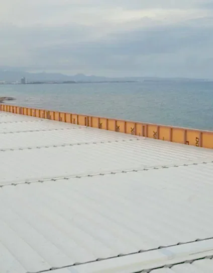 Kıbrıs Projesi
